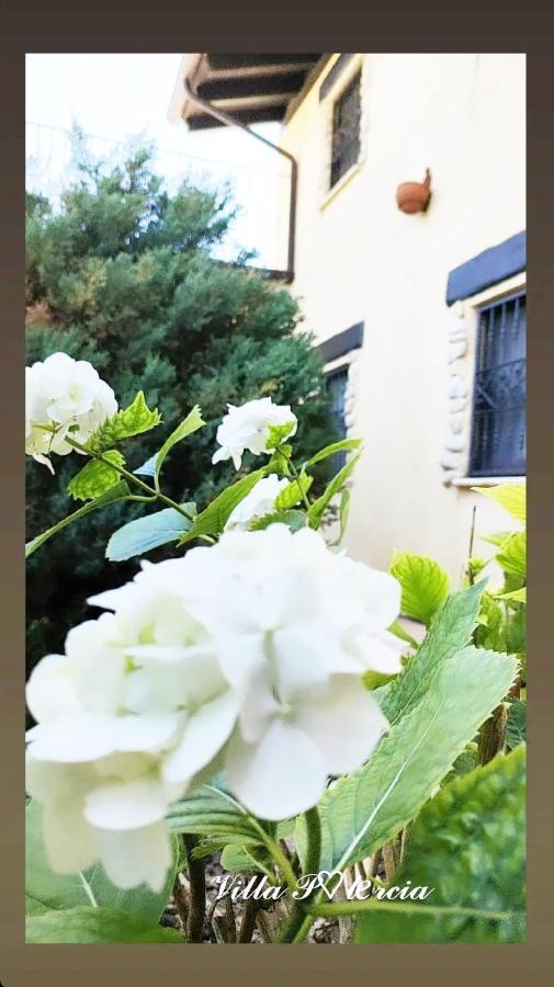 Villa Polercia Cupello Екстериор снимка